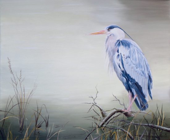 Reiger